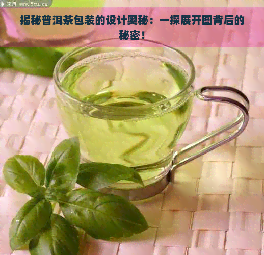 揭秘普洱茶包装的设计奥秘：一探展开图背后的秘密！