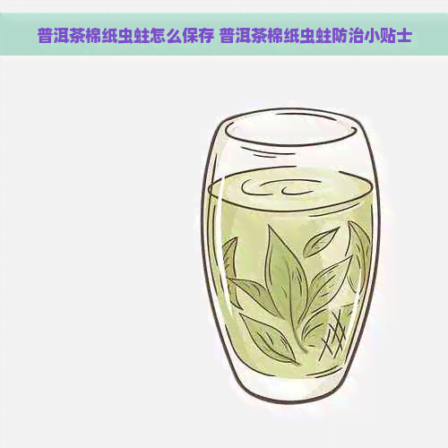 普洱茶棉纸虫蛀怎么保存 普洱茶棉纸虫蛀防治小贴士