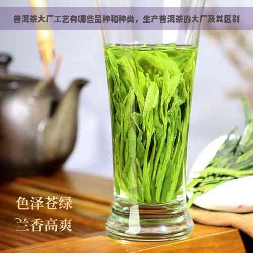 普洱茶大厂工艺有哪些品种和种类，生产普洱茶的大厂及其区别