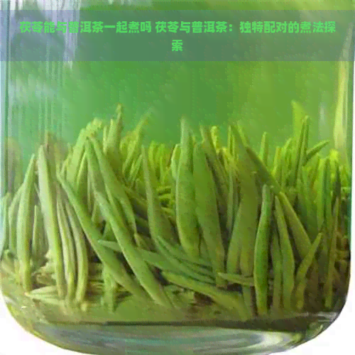 茯苓能与普洱茶一起煮吗 茯苓与普洱茶：独特配对的煮法探索