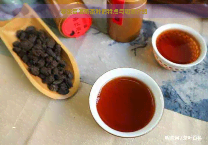 春茶普洱茶茶叶的特点与功效介绍