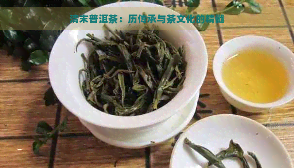 清末普洱茶：历传承与茶文化的精髓