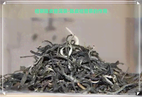 桔茶陈皮普洱茶-陈皮桔普茶的作用