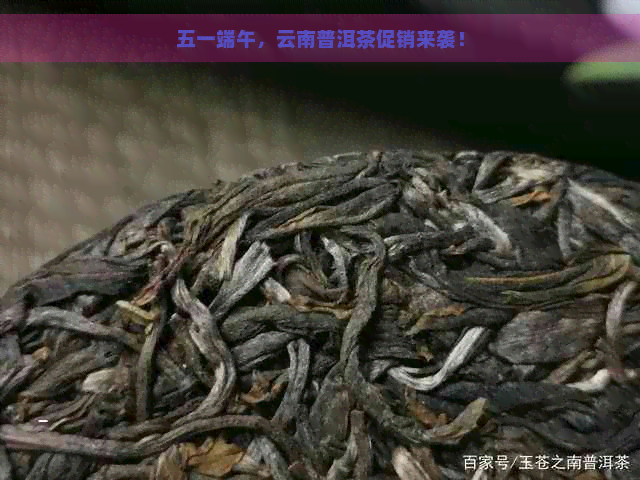 五一端午，云南普洱茶促销来袭！