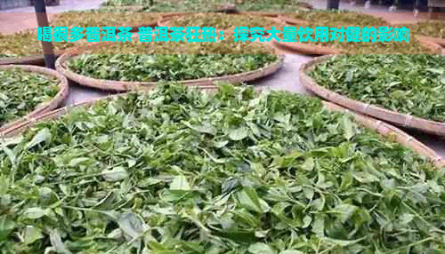 喝很多普洱茶 普洱茶狂热：探究大量饮用对健的影响