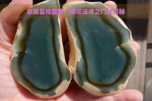 获嘉县拍卖网：揭示法律之门的奥秘