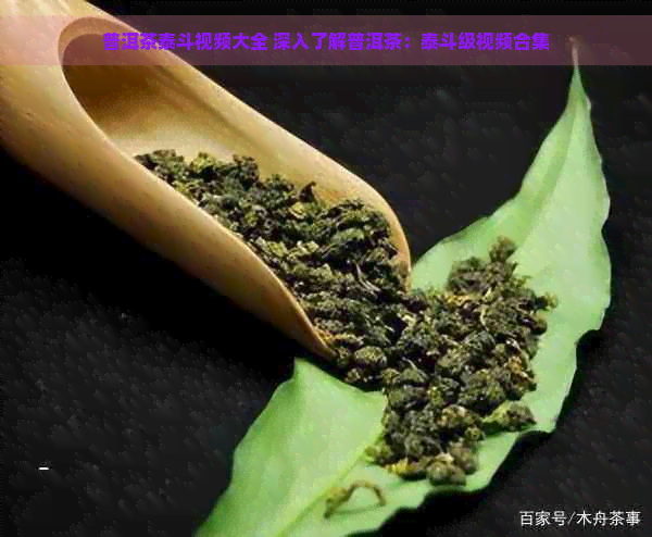 普洱茶泰斗视频大全 深入了解普洱茶：泰斗级视频合集