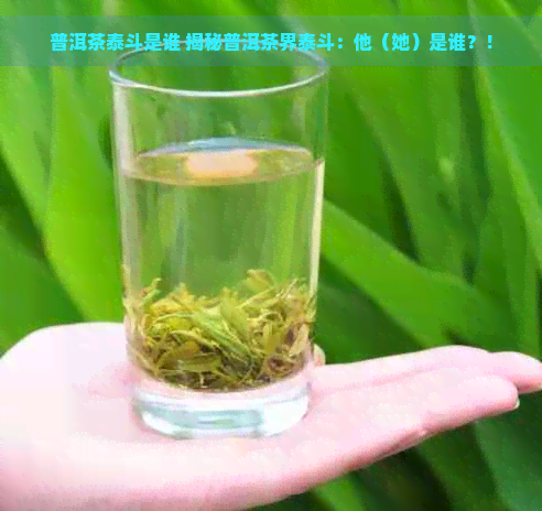 普洱茶泰斗是谁 揭秘普洱茶界泰斗：他（她）是谁？！