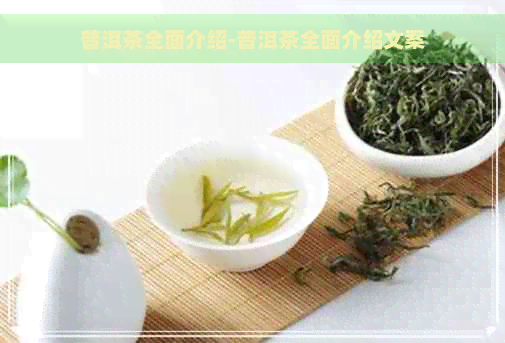 普洱茶全面介绍-普洱茶全面介绍文案