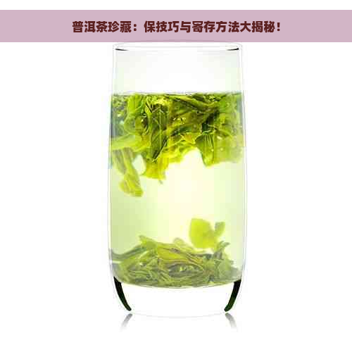 普洱茶珍藏：保技巧与寄存方法大揭秘！