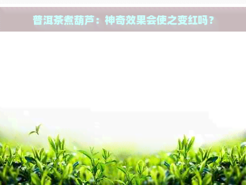 普洱茶煮葫芦：神奇效果会使之变红吗？