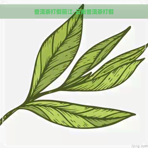 普洱茶打假丽江-云南普洱茶打假