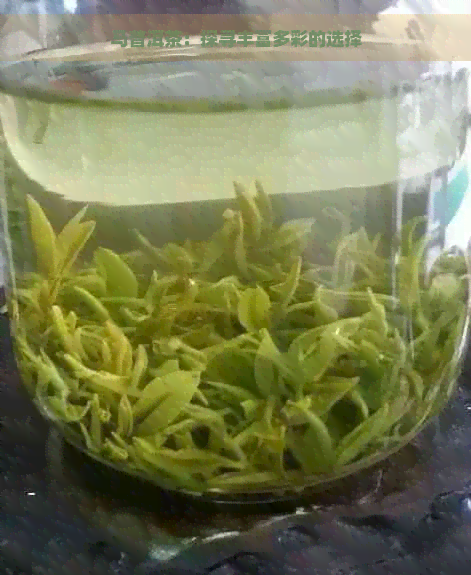 马普洱茶：探寻丰富多彩的选择