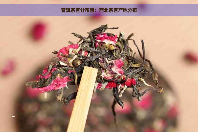 普洱茶区分布图：西北茶区产地分布