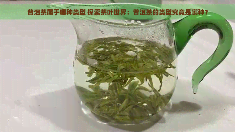 普洱茶属于哪种类型 探索茶叶世界：普洱茶的类型究竟是哪种？