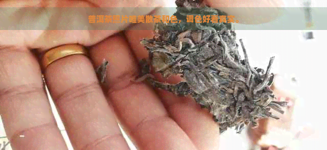 普洱茶照片唯美散茶和色，调色好看真实。