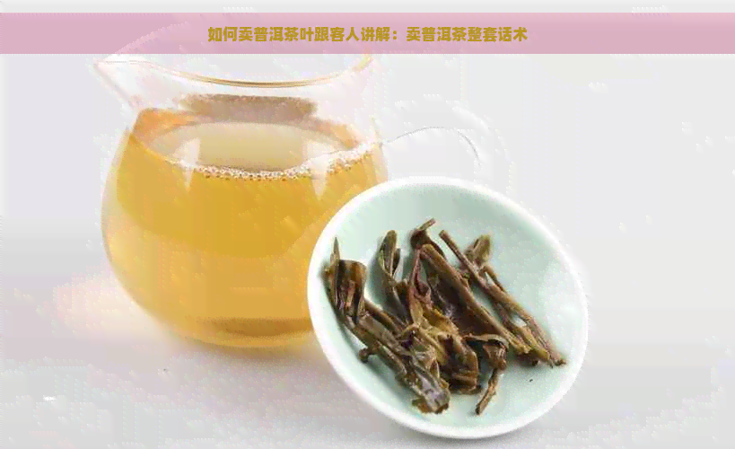 如何卖普洱茶叶跟客人讲解：卖普洱茶整套话术