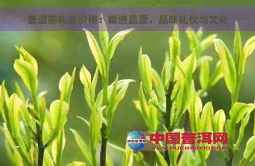 普洱茶礼盒价格：精选品质，品味礼仪与文化