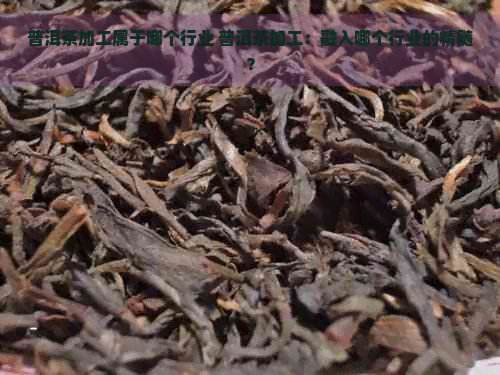 普洱茶加工属于哪个行业 普洱茶加工：融入哪个行业的精髓？