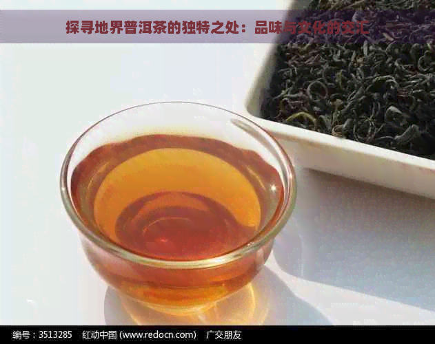 探寻地界普洱茶的独特之处：品味与文化的交汇