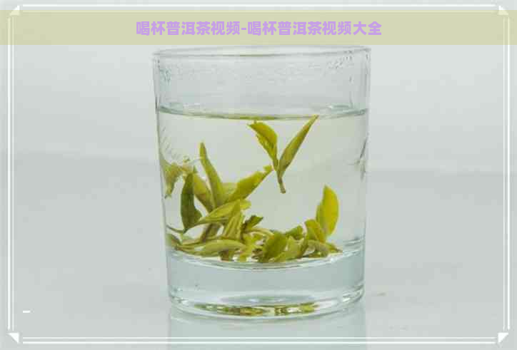 喝杯普洱茶视频-喝杯普洱茶视频大全