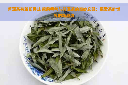 普洱茶有茉莉香味 茉莉香气与普洱茶的奇妙交融：探索茶叶世界的新趋势