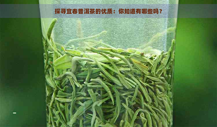 探寻宜春普洱茶的优质：你知道有哪些吗？