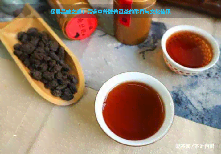 探寻品味之道：品鉴中普牌普洱茶的醇香与文化传承