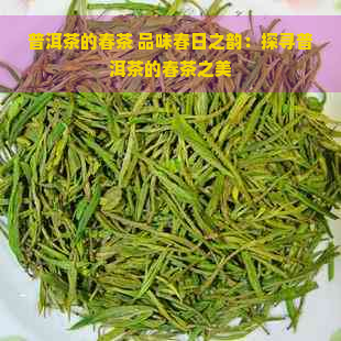 普洱茶的春茶 品味春日之韵：探寻普洱茶的春茶之美