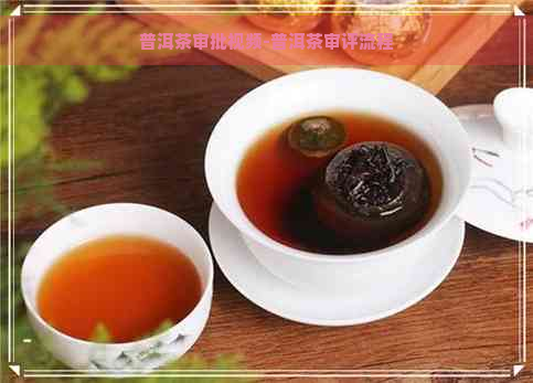 普洱茶审批视频-普洱茶审评流程