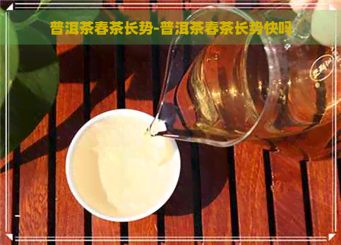 普洱茶春茶长势-普洱茶春茶长势快吗