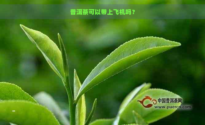 普洱茶可以带上飞机吗？