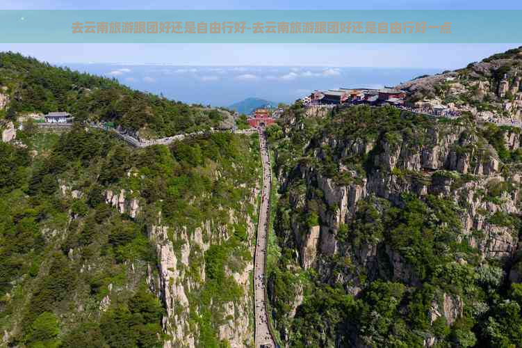 去云南旅游跟团好还是自由行好-去云南旅游跟团好还是自由行好一点