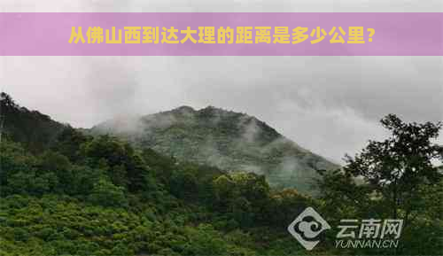 从佛山西到达大理的距离是多少公里？