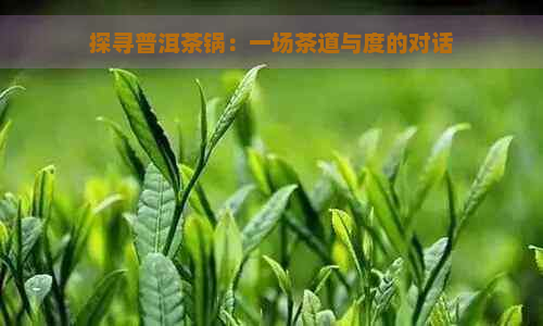 探寻普洱茶锅：一场茶道与度的对话