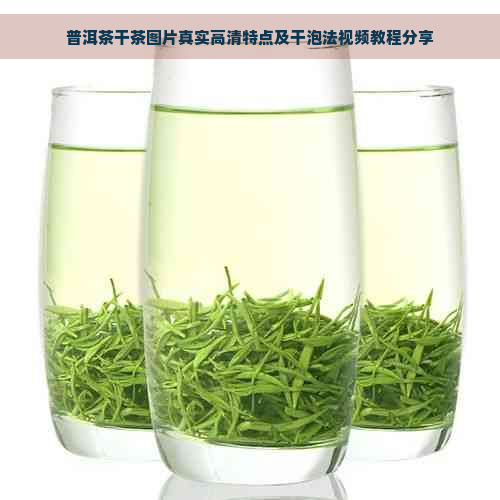 普洱茶干茶图片真实高清特点及干泡法视频教程分享