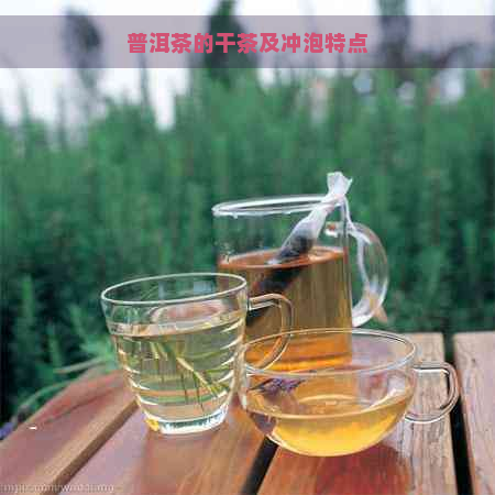 普洱茶的干茶及冲泡特点