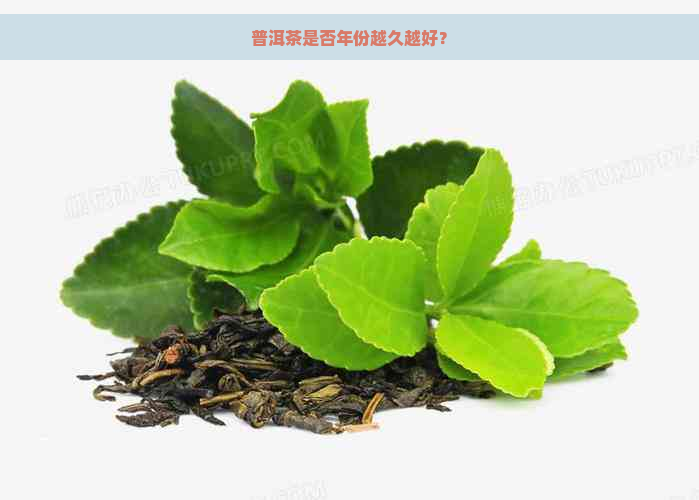 普洱茶是否年份越久越好？