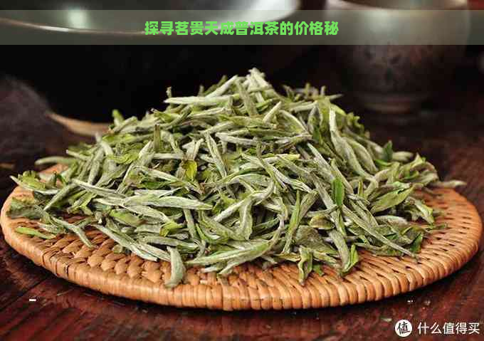 探寻茗贵天成普洱茶的价格秘