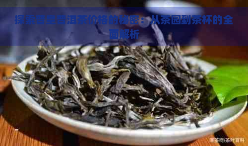 探索普皇普洱茶价格的秘密：从茶园到茶杯的全面解析