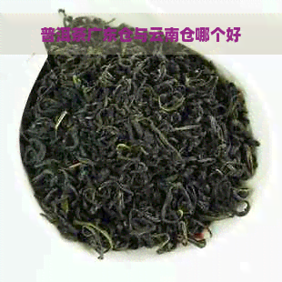 普洱茶广东仓与云南仓哪个好