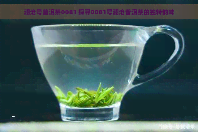 澜沧号普洱茶0081 探寻0081号澜沧普洱茶的独特韵味