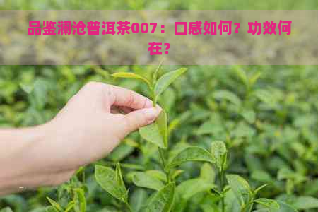 品鉴澜沧普洱茶007：口感如何？功效何在？