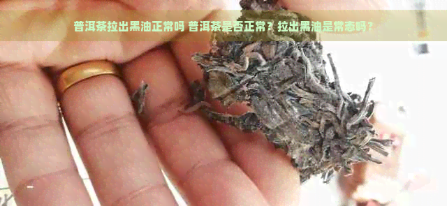 普洱茶拉出黑油正常吗 普洱茶是否正常？拉出黑油是常态吗？