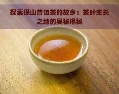 探索保山普洱茶的故乡：茶叶生长之地的奥秘揭秘