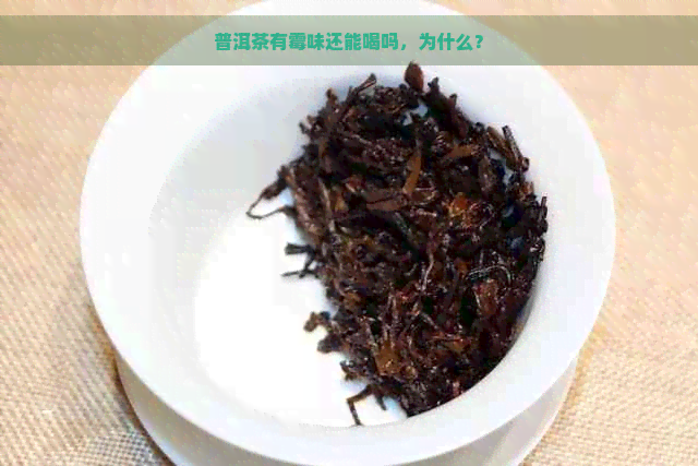 普洱茶有霉味还能喝吗，为什么？