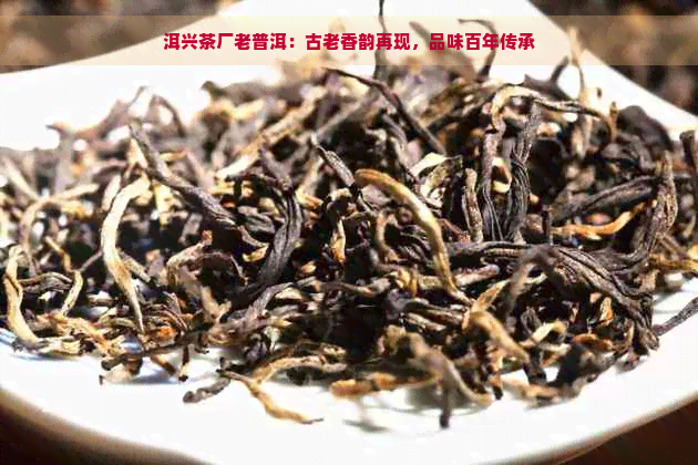 洱兴茶厂老普洱：古老香韵再现，品味百年传承