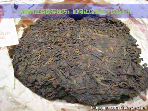 南美普洱茶保存技巧：如何让你的茶叶保持新？