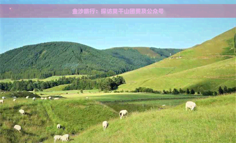 金沙旅行：探访莫干山团费及公众号