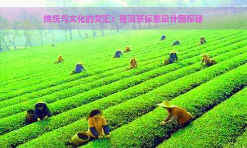 传统与文化的交汇：普洱茶标志设计图探秘